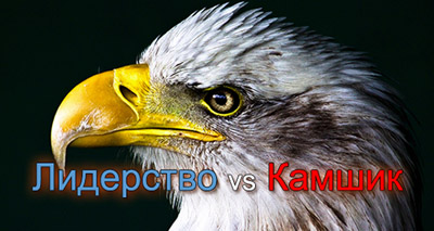 Лидерство vs Камшик