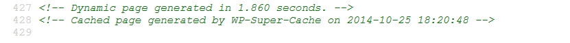 Проверка на WP Super Cache