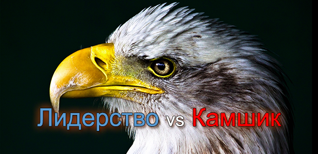 Бъдете лидери и поведете вашата бизнес армия към победа!