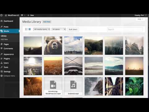 WordPress 4.0